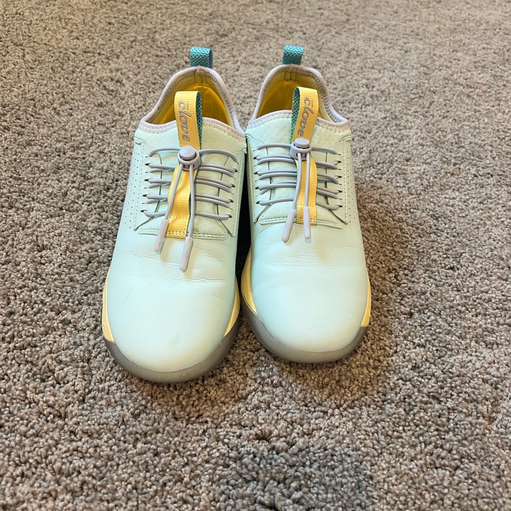 Clove work shoes worn a couple times